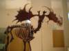 Photo Number 11