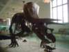 Photo Number 13