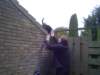 Photo Number 14