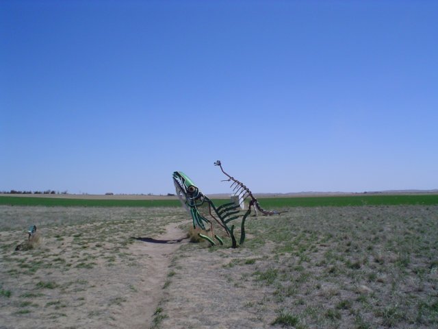Photograph