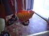 Photo Number 8