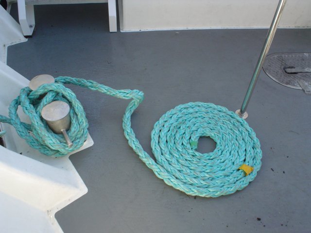 dsc06957.jpg