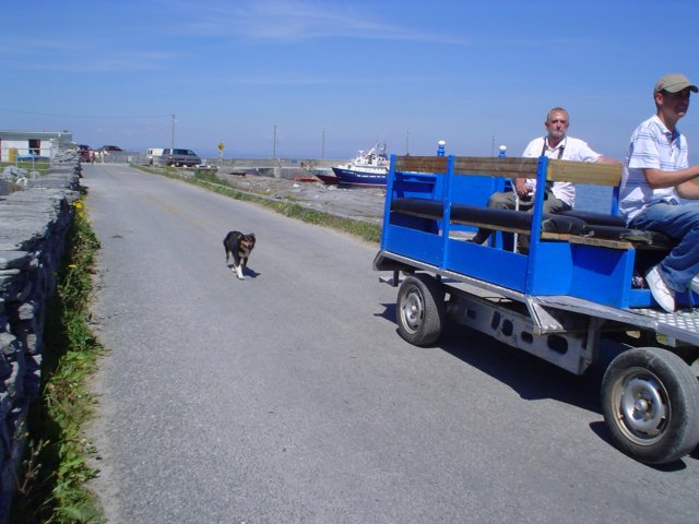 dsc07051.jpg