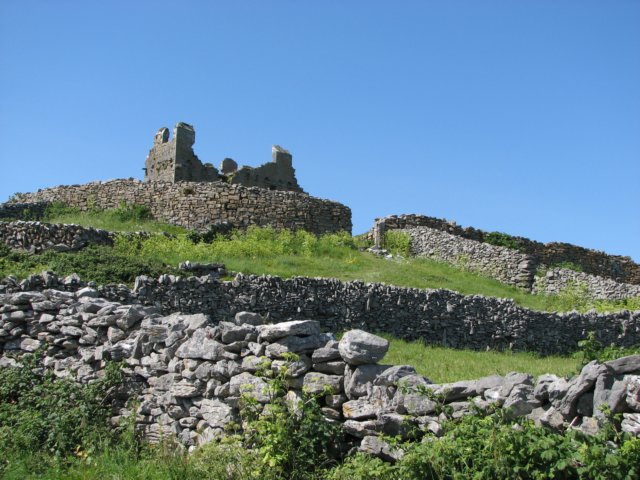 img_6305.jpg