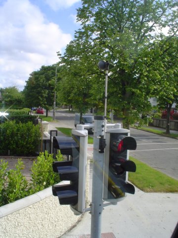 dsc07517.jpg
