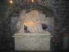 dsc07703_small.jpg
