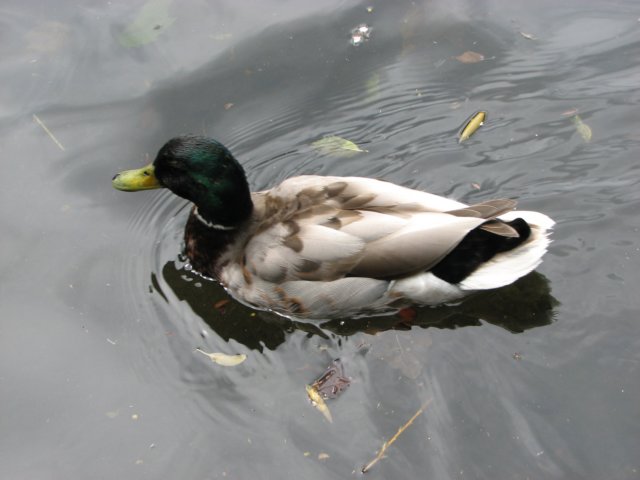 img_6857.jpg