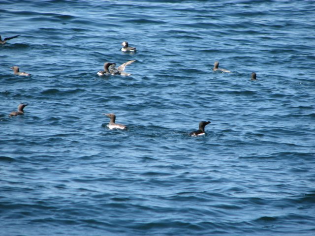 img_6594.jpg