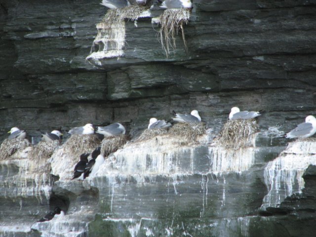 img_6634.jpg