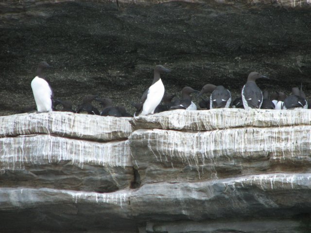 img_6647.jpg