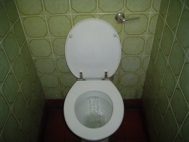 dsc06564.jpg