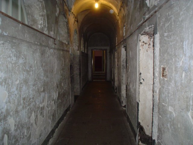 dsc07435.jpg