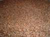 dsc07338_small.jpg