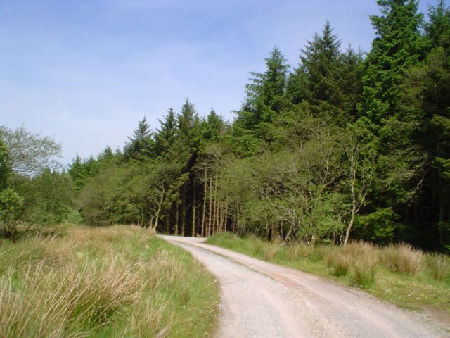 dsc06613.jpg