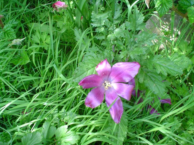 dsc06646.jpg