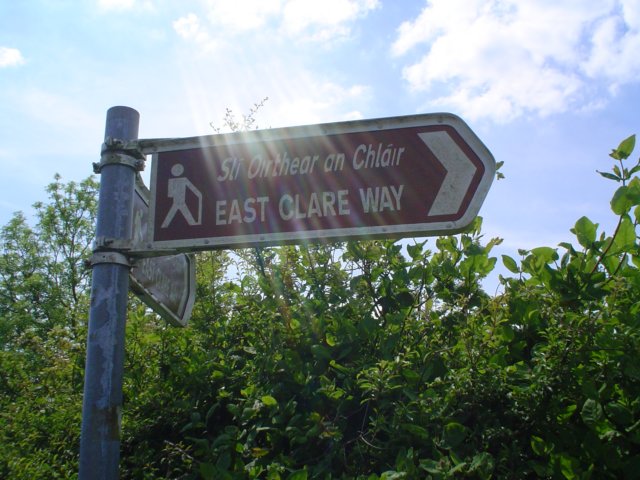 dsc06716.jpg