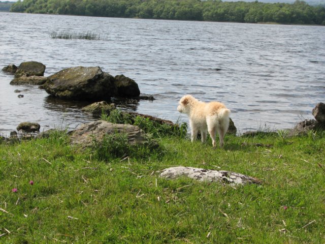 img_5449.jpg