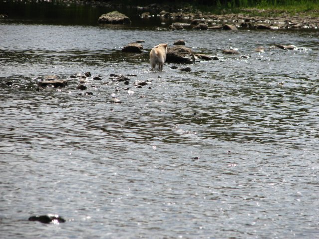 img_5467.jpg