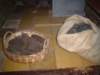 dsc07859_small.jpg