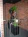 dsc07860_small.jpg