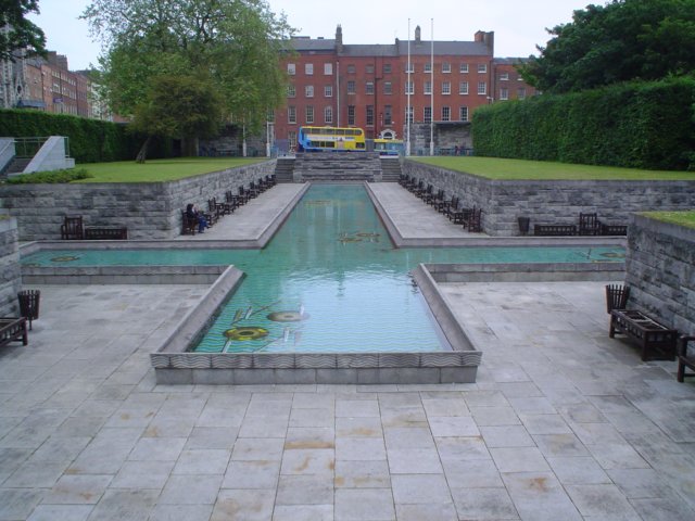 dsc07968.jpg