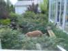 dsc06294_small.jpg