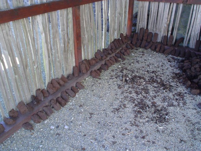 dsc06419.jpg
