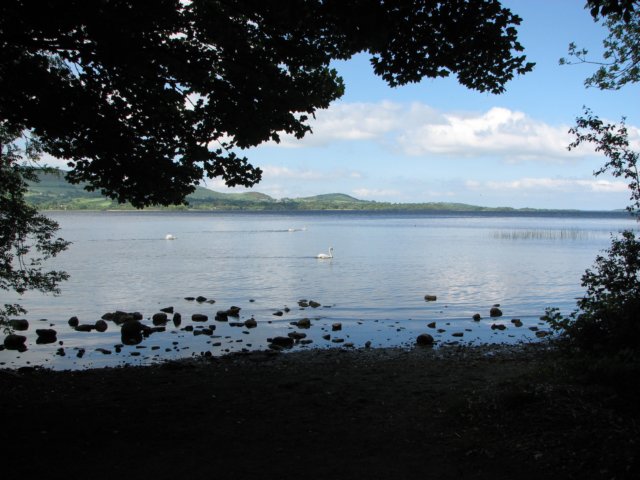 img_5640.jpg