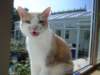 dsc06764_small.jpg