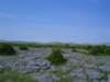 dsc06778_small.jpg