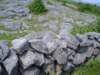 dsc06782_small.jpg