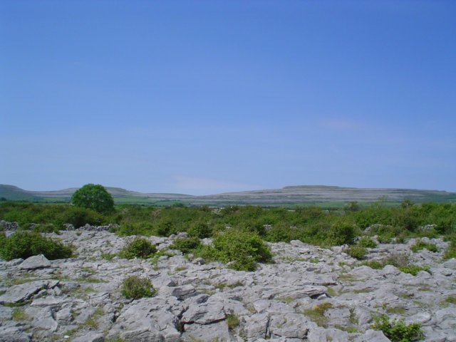 dsc06786.jpg
