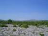 dsc06786_small.jpg