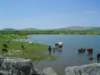 dsc06790_small.jpg