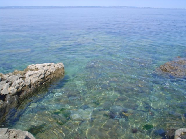 dsc06816.jpg