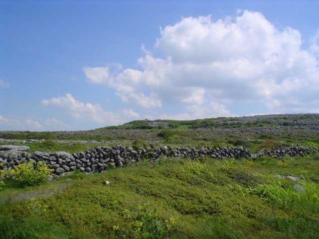 dsc06841.jpg