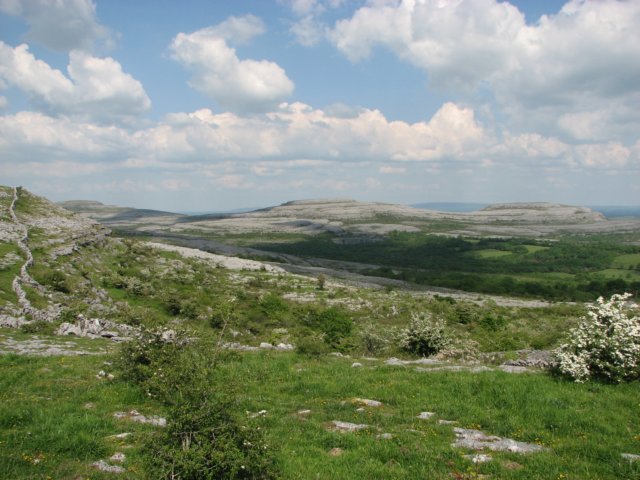 img_6127.jpg