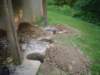 Photo Number 5