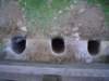 Photo Number 7