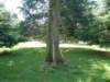 Photo Number 5