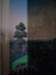 Photo Number 9