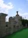 dsc00786_small.jpg
