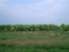 dsc00816_small.jpg