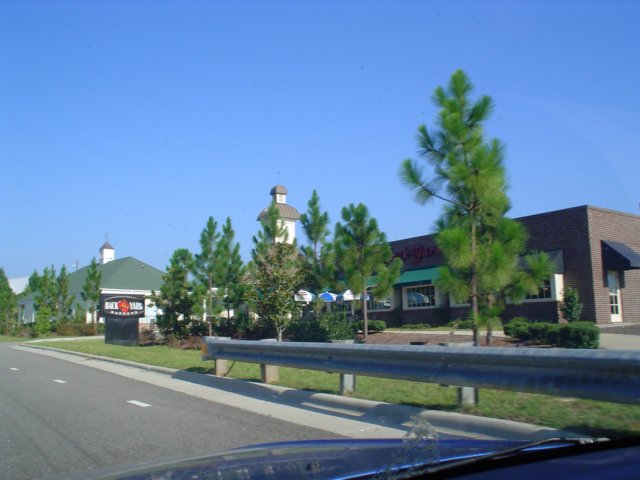 dsc01245.jpg