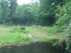 dsc00392_small.jpg
