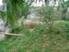 dsc00397_small.jpg