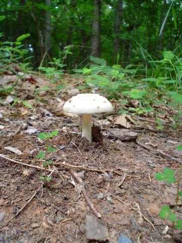 dsc00402.jpg