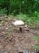 dsc00402_small.jpg