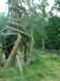 dsc00406_small.jpg