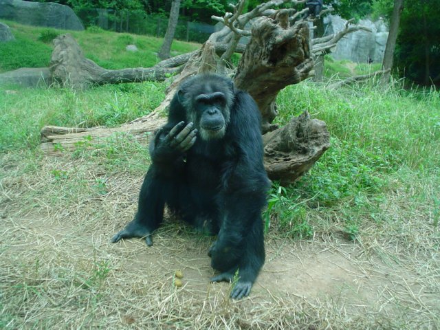 dsc00410.jpg